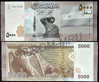 Сирия 5000 фунтов 2019г (2021г). "Солдат армии Асада" UNC